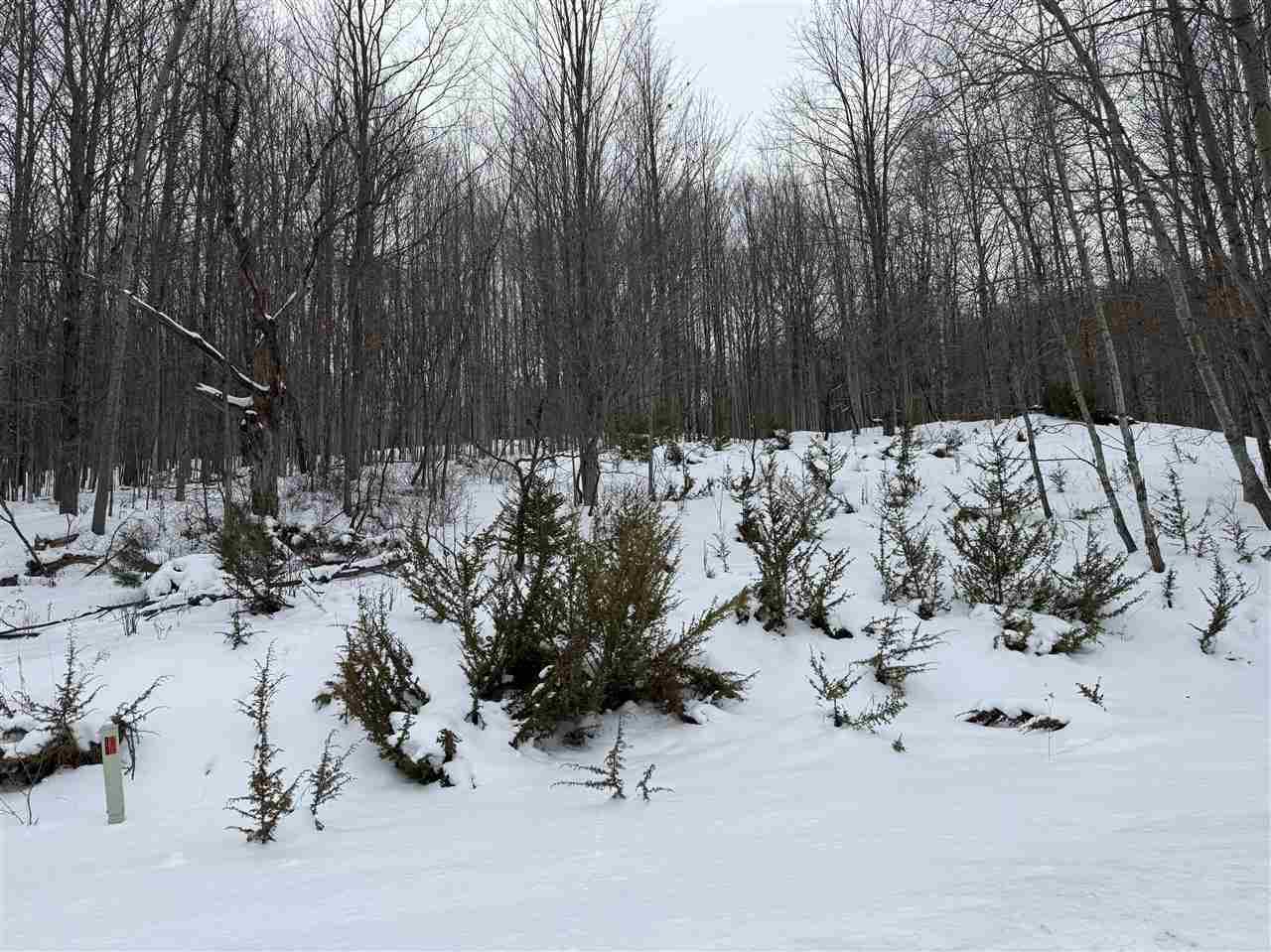 Flagg Rd.