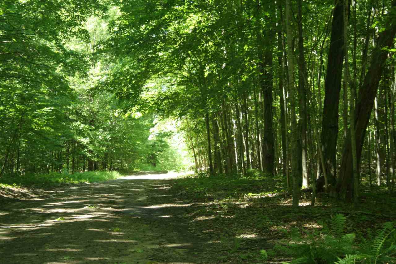 TBD Forest Ridge Trail