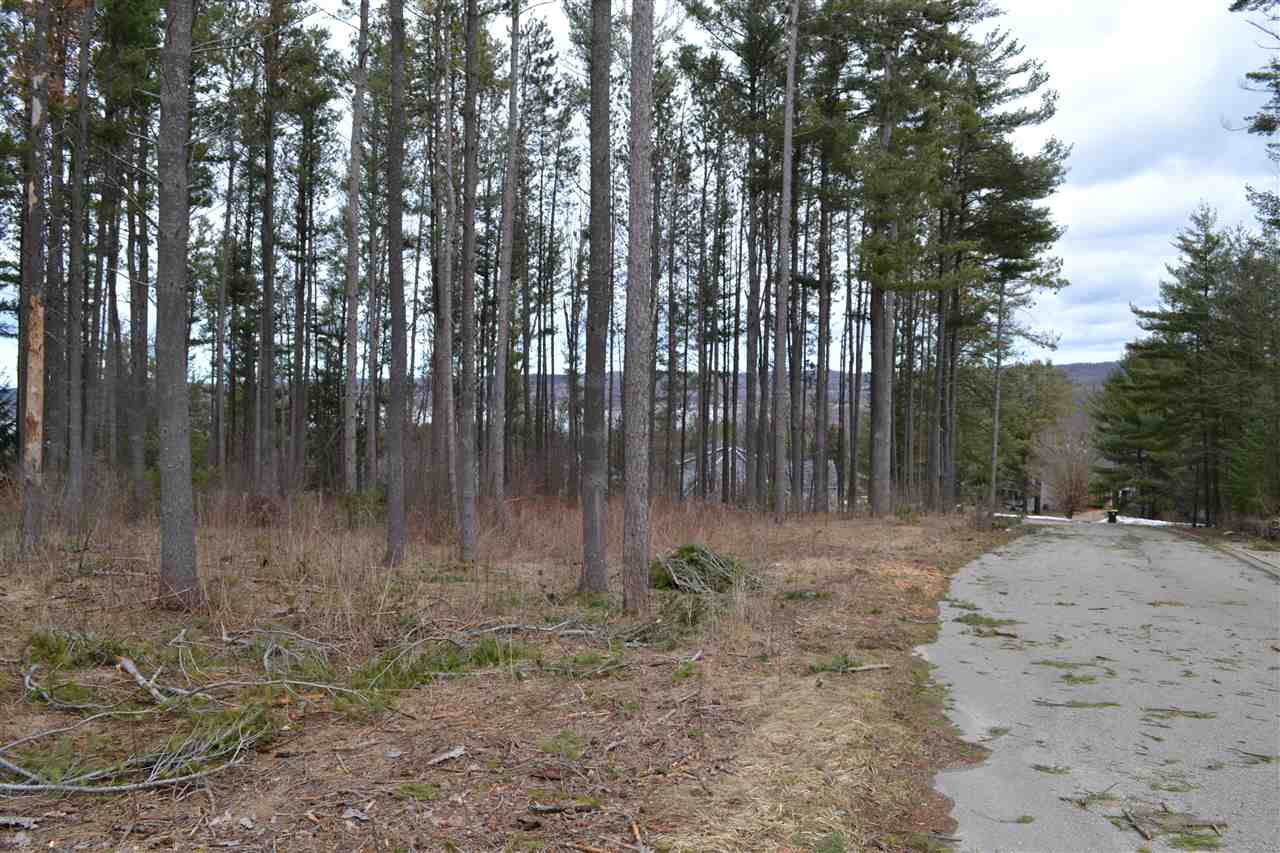 0 Deer Run Drive Unit: 42