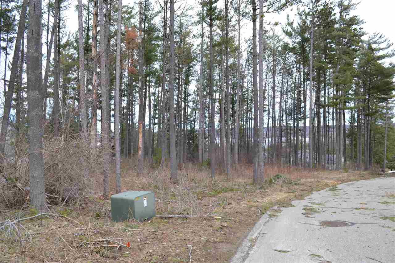 0 Deer Run Drive Unit: 42