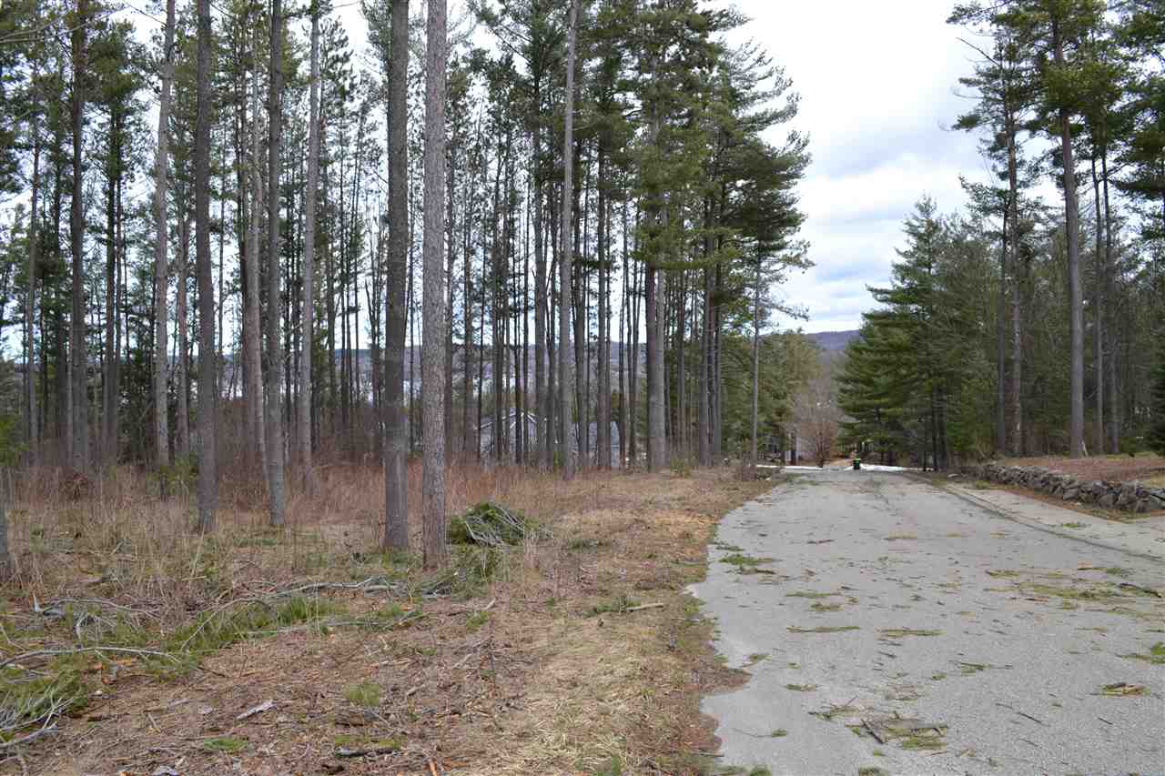 0 Deer Run Drive Unit: 42