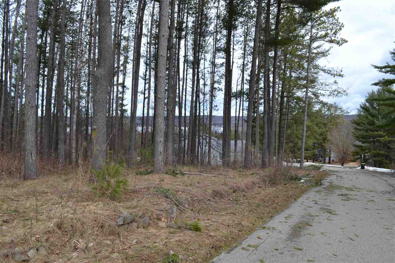 0 Deer Run Drive Unit: 41