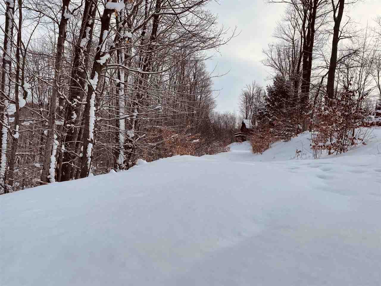 650 Beech Drive Unit: Unit #811 "C" / Door #811