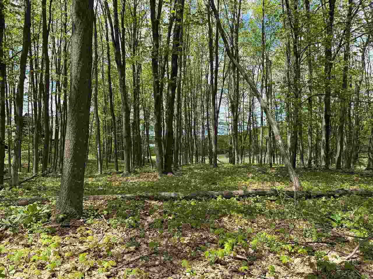 TBD - Lot 43 St. Andrews Point Unit: Lot #43