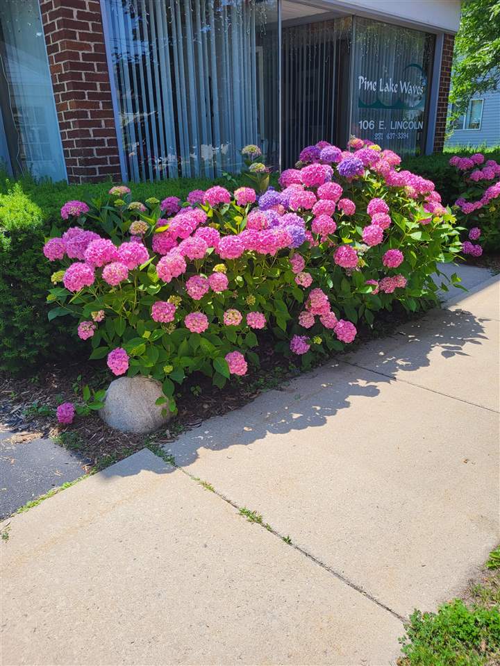 106 E Lincoln Street