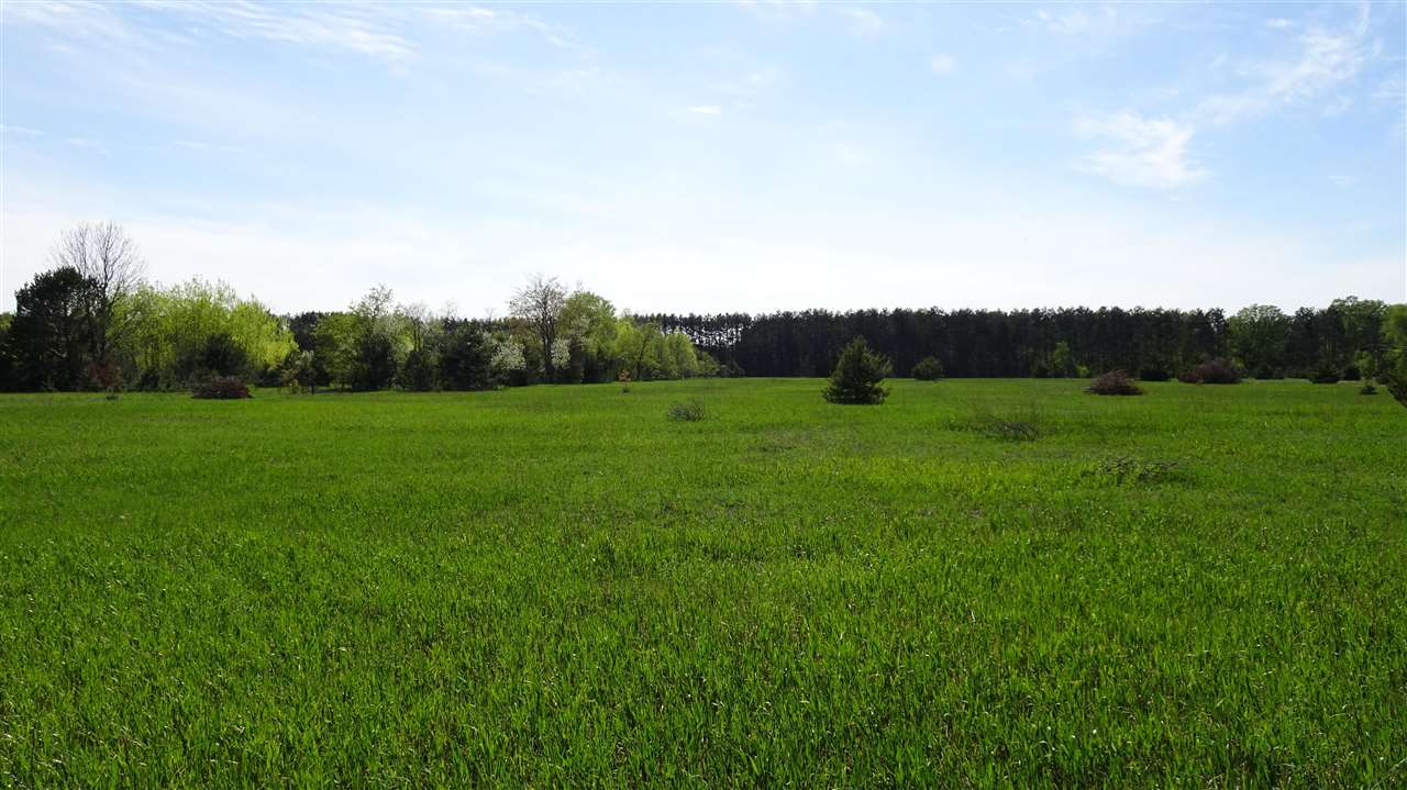 TBD Priest Rd
