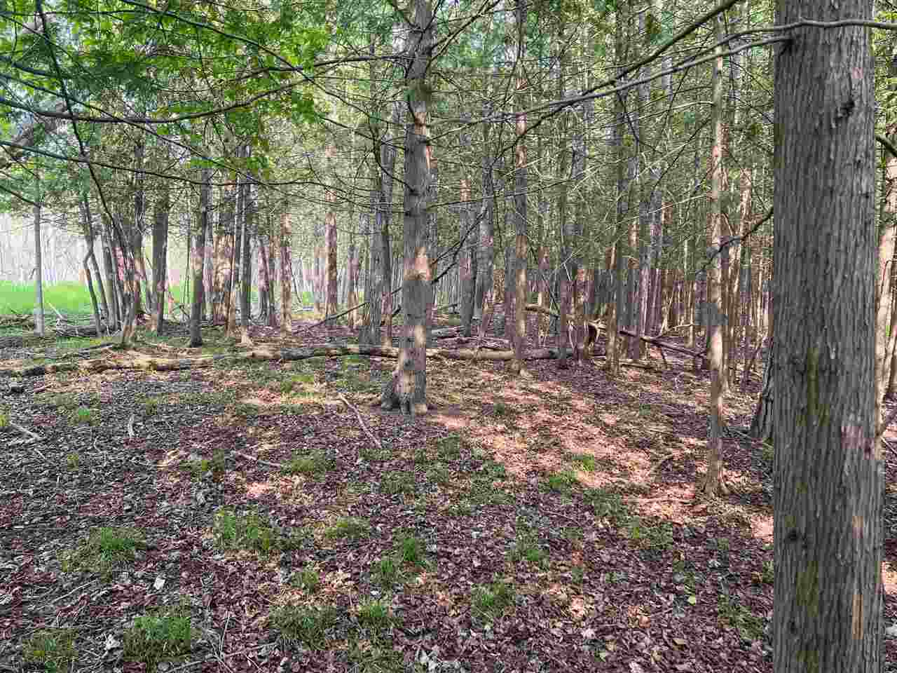 TBD Crane #17 Street