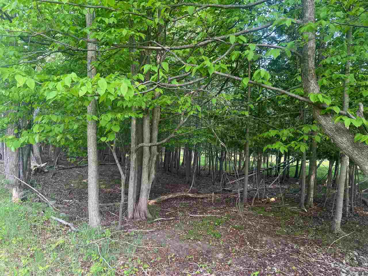 TBD Crane #17 Street