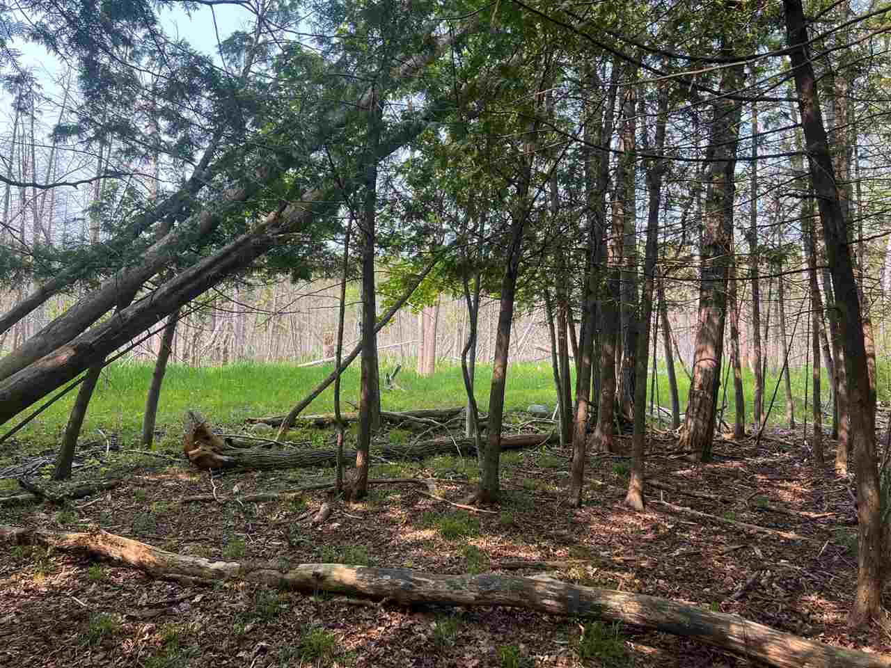 TBD Crane #17 Street