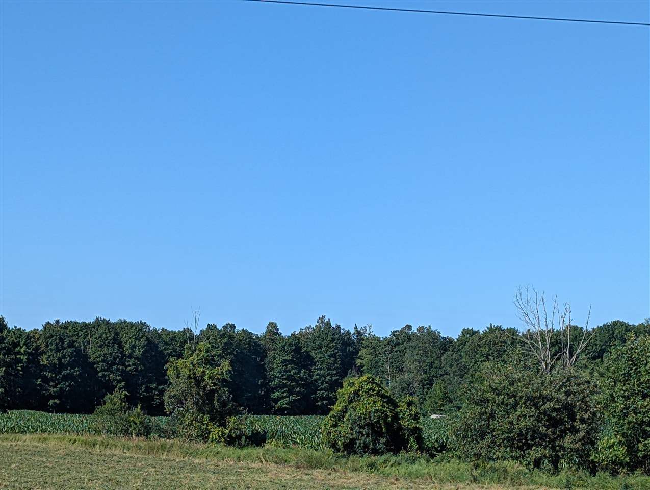 TBD Ferry Road