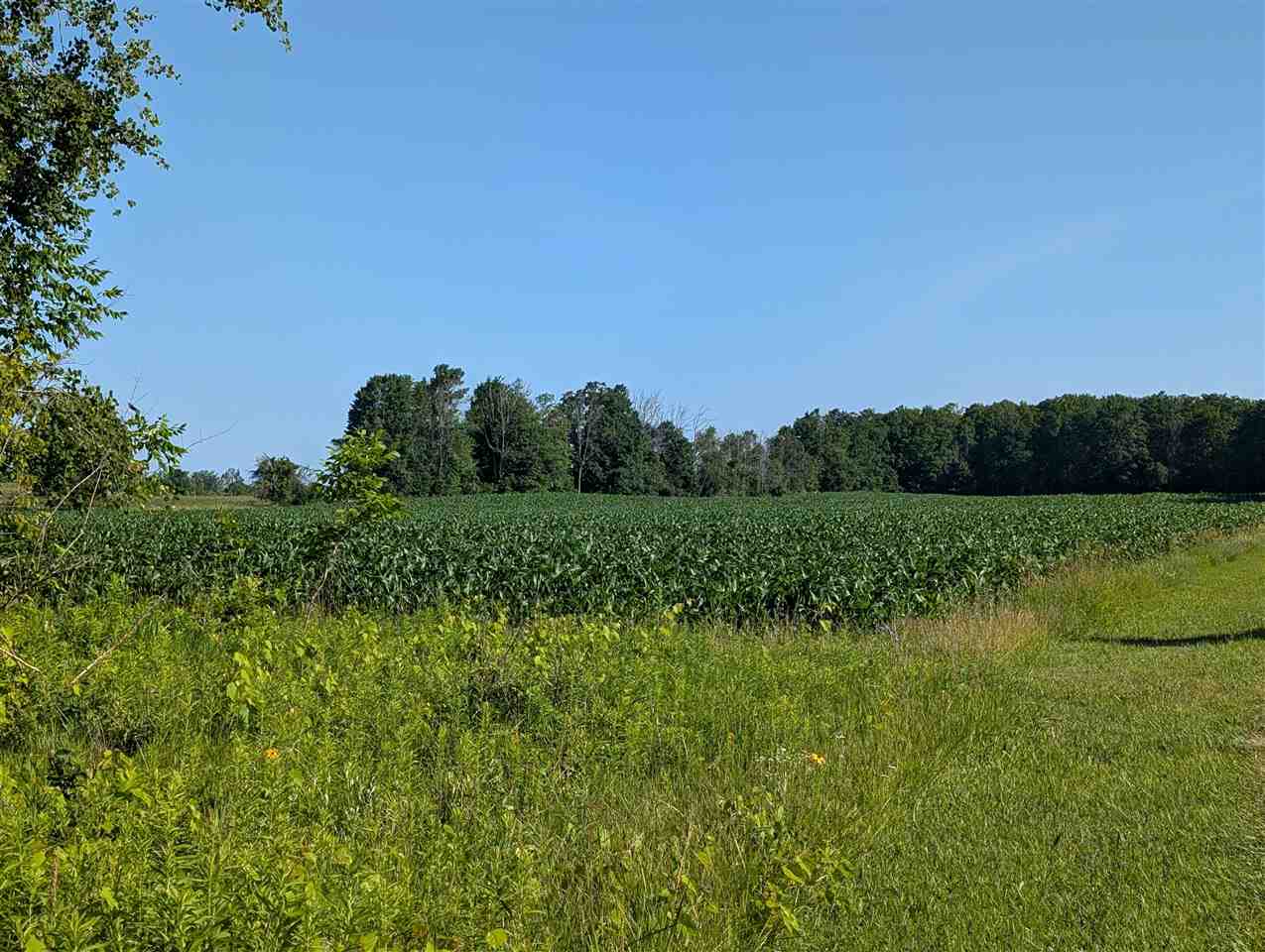 TBD Ferry Road