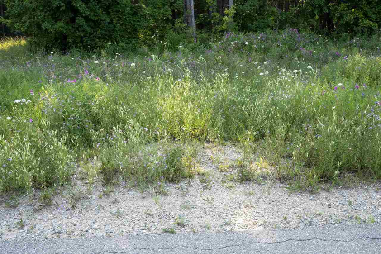 TBD Graham Rd