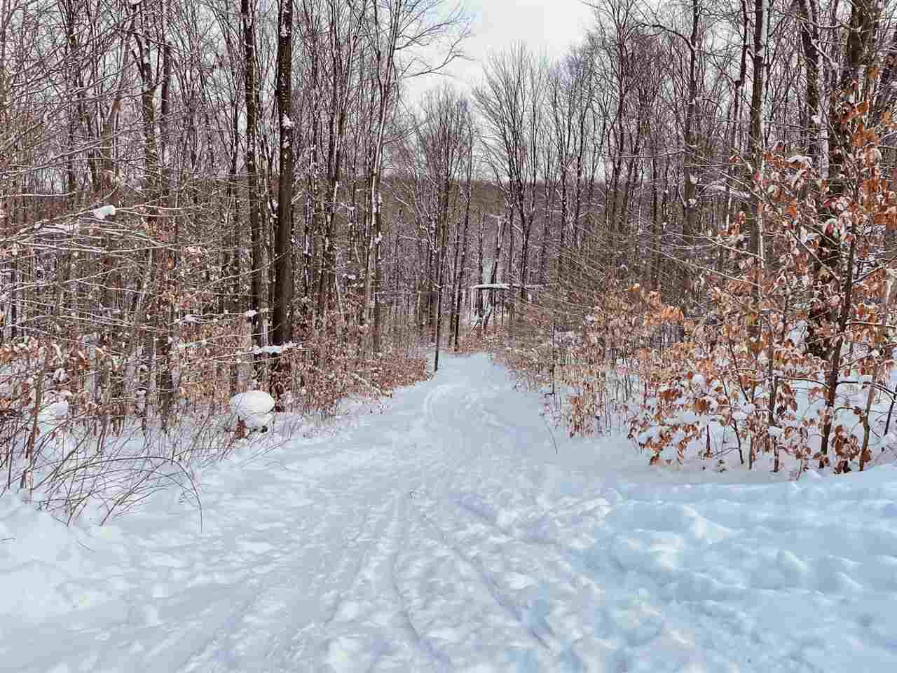 1151 Cabin Drive Unit: Unit #825 "B" / Door #825