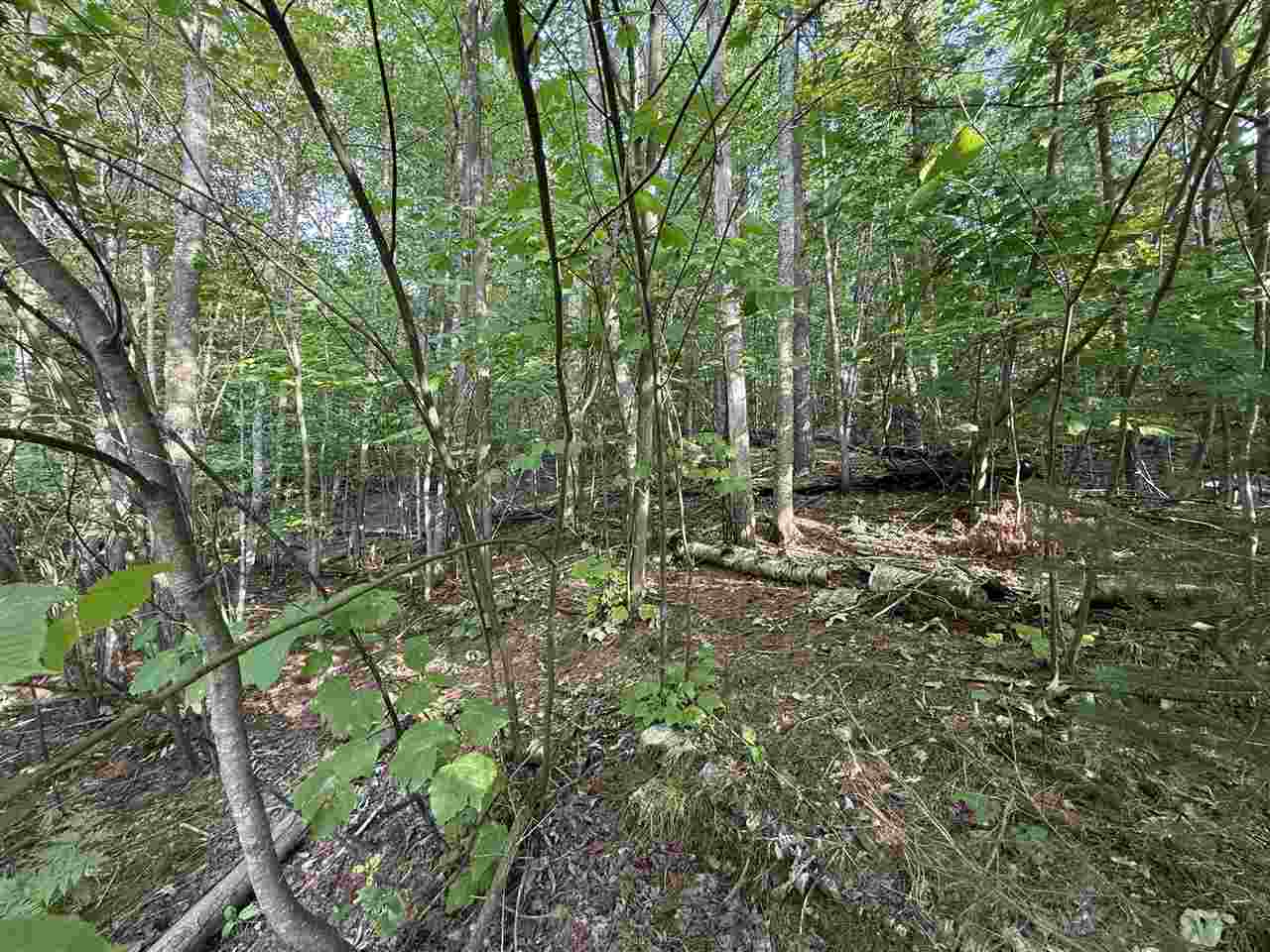 North Country Club Drive Unit: Lot #19