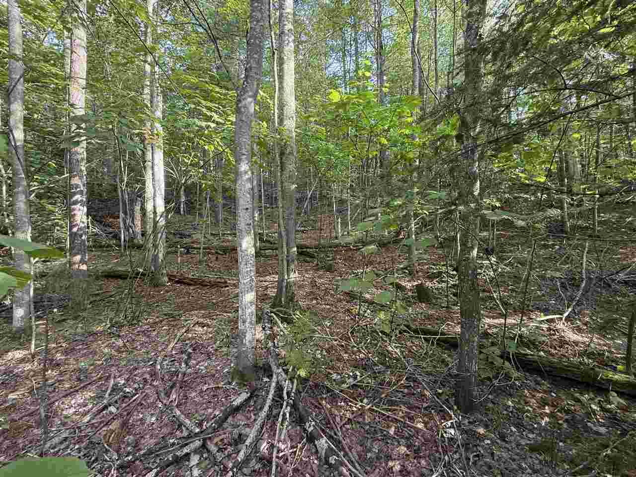 North Country Club Drive Unit: Lot #19