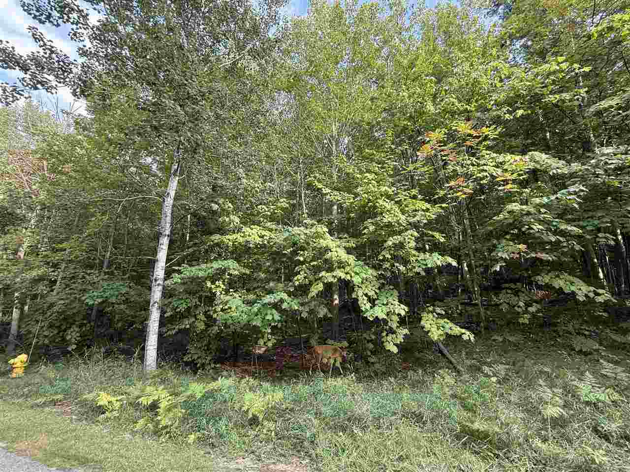 North Country Club Drive Unit: Lot #19