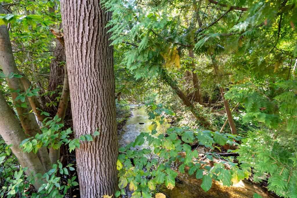 00974 N Advance Road