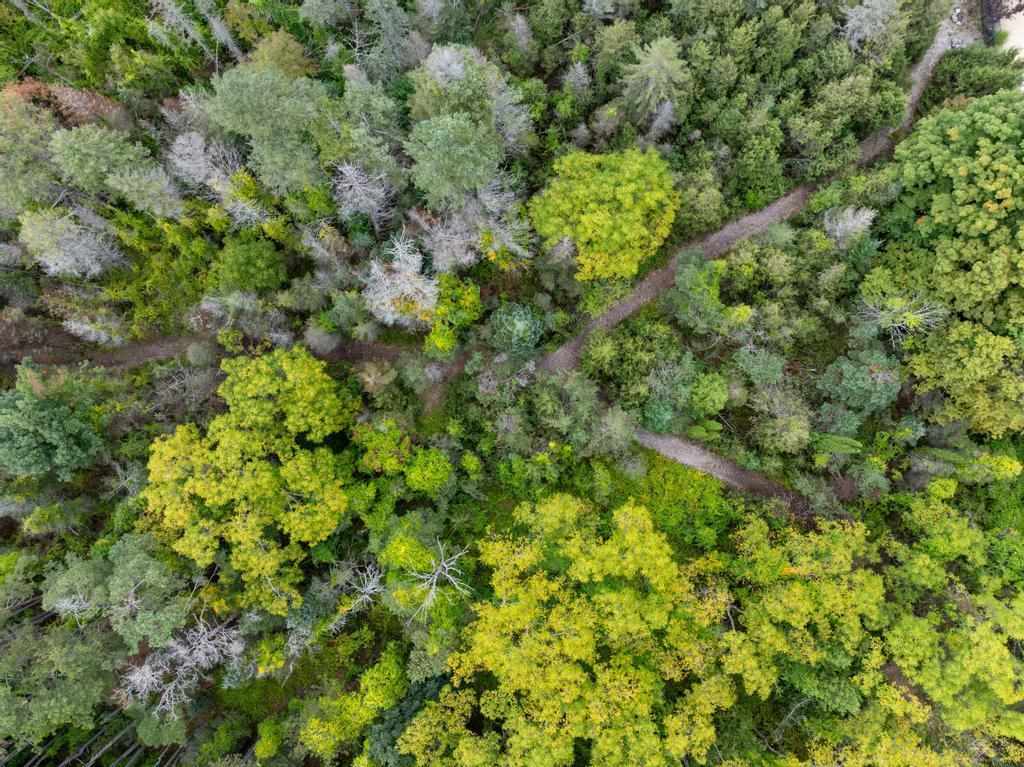 4000 Hemingway Pointe Club Drive Unit: 64