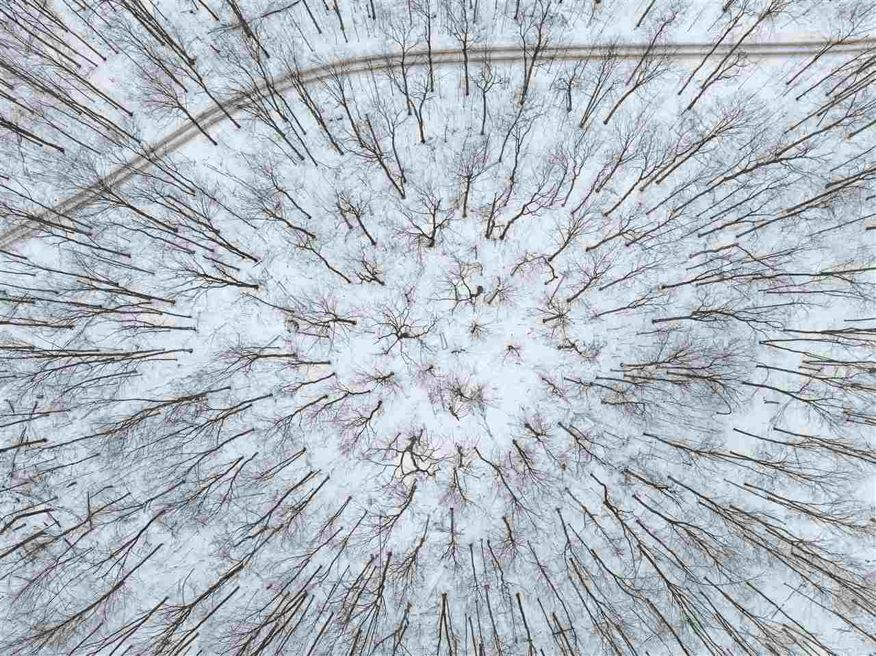 Lot 7 Connemara Unit: Lot 7