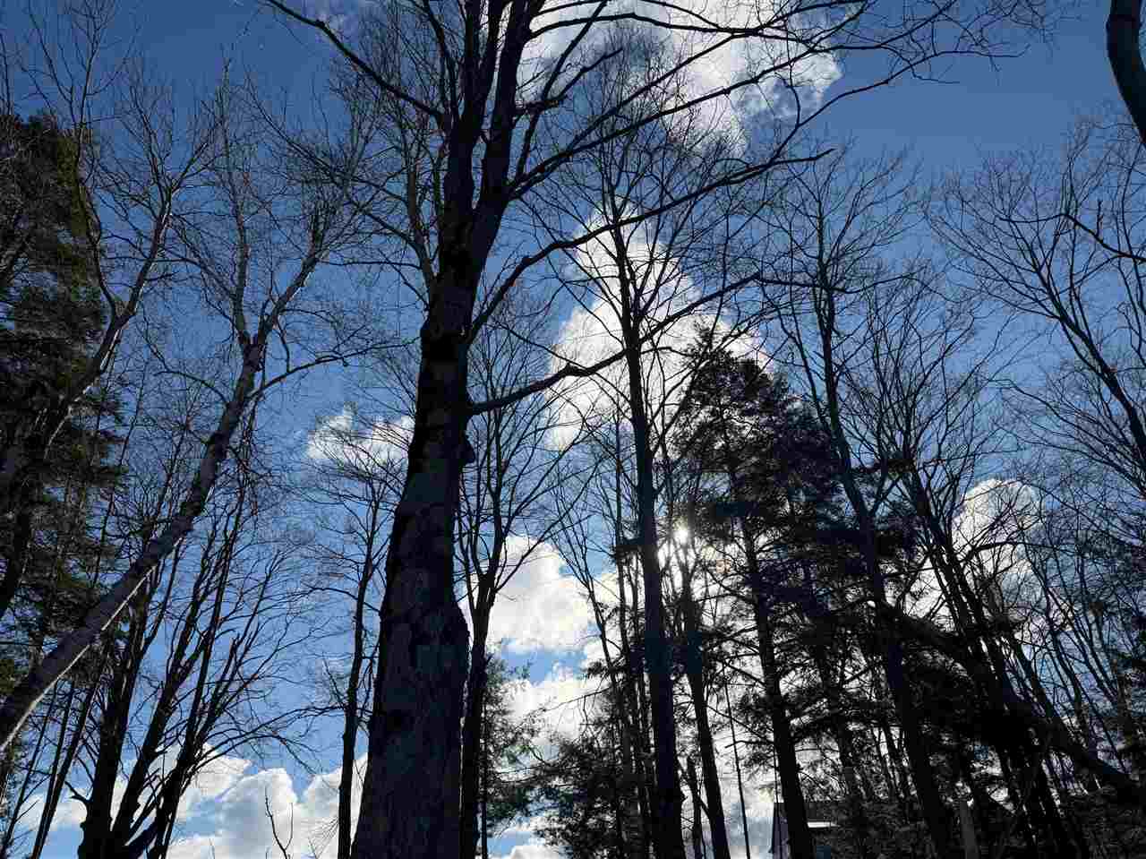 8247 Mulberry Lane Unit: Lot 17