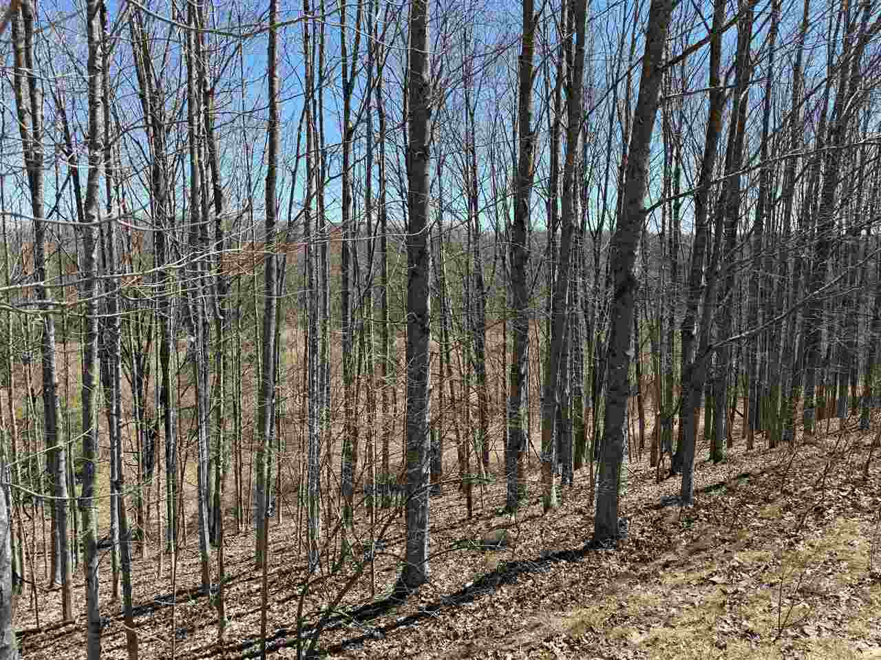#2 Fox Missiion Trail Unit: Lot #2