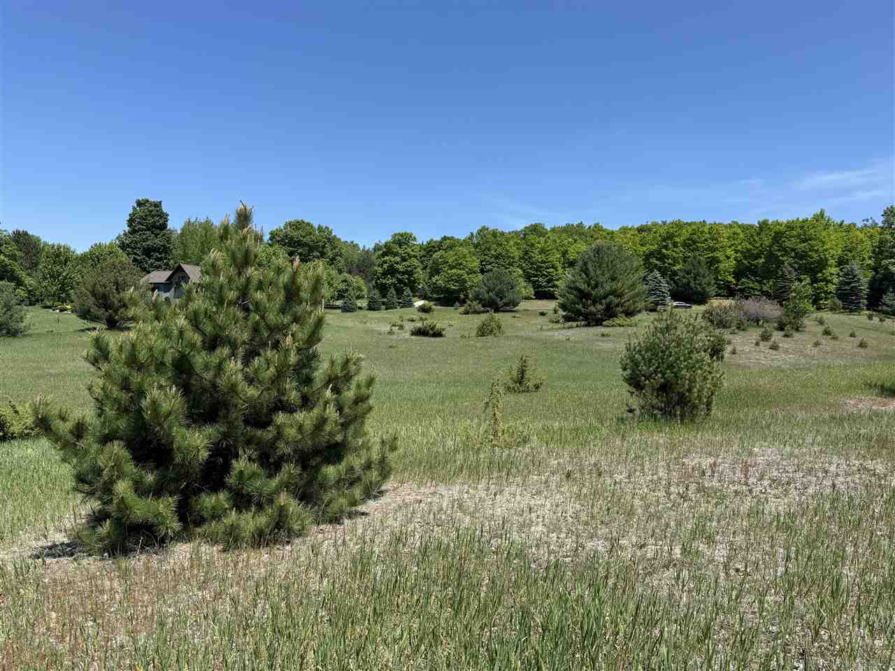 TBD Ridgeline Drive Unit: 37