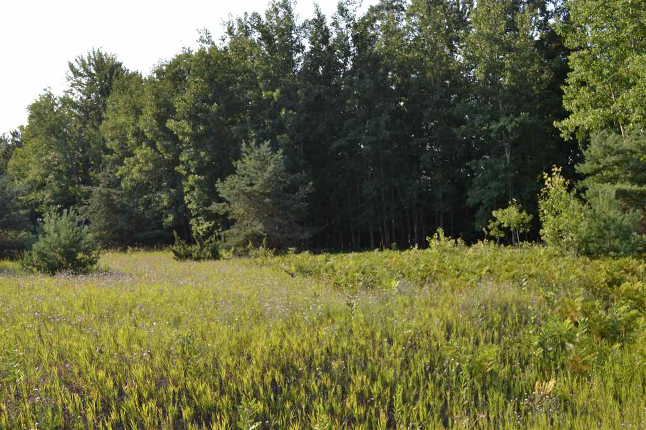 0000 Bergmann Road