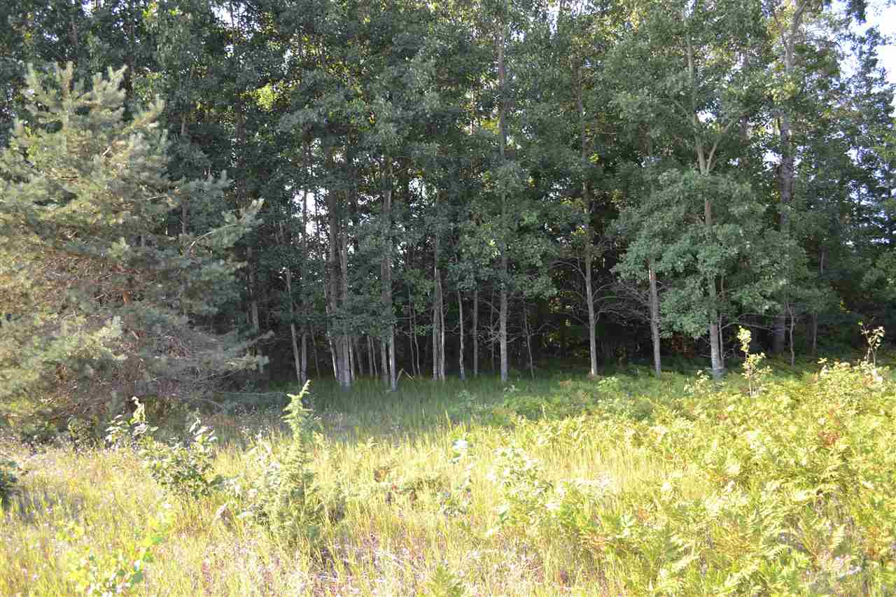 0000 Bergmann Road