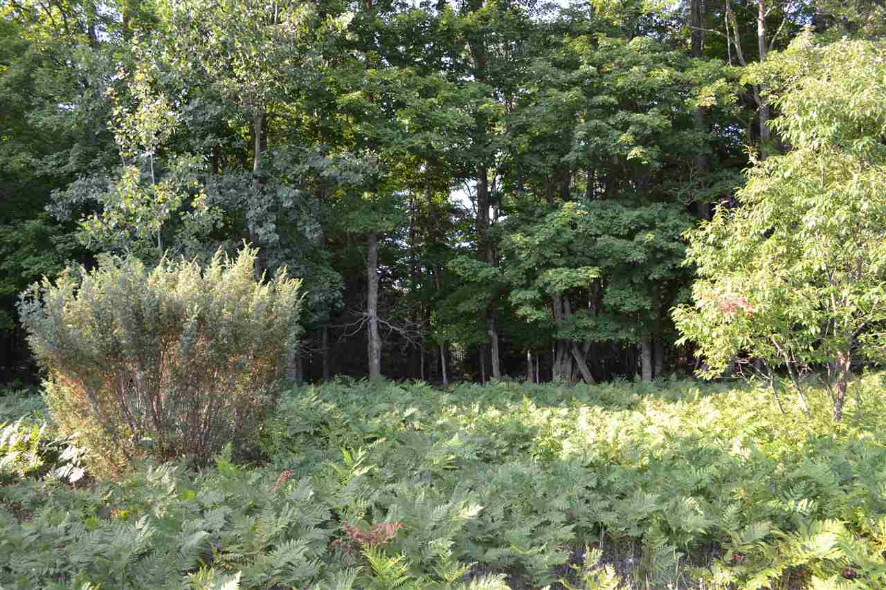 0000 Bergmann Road