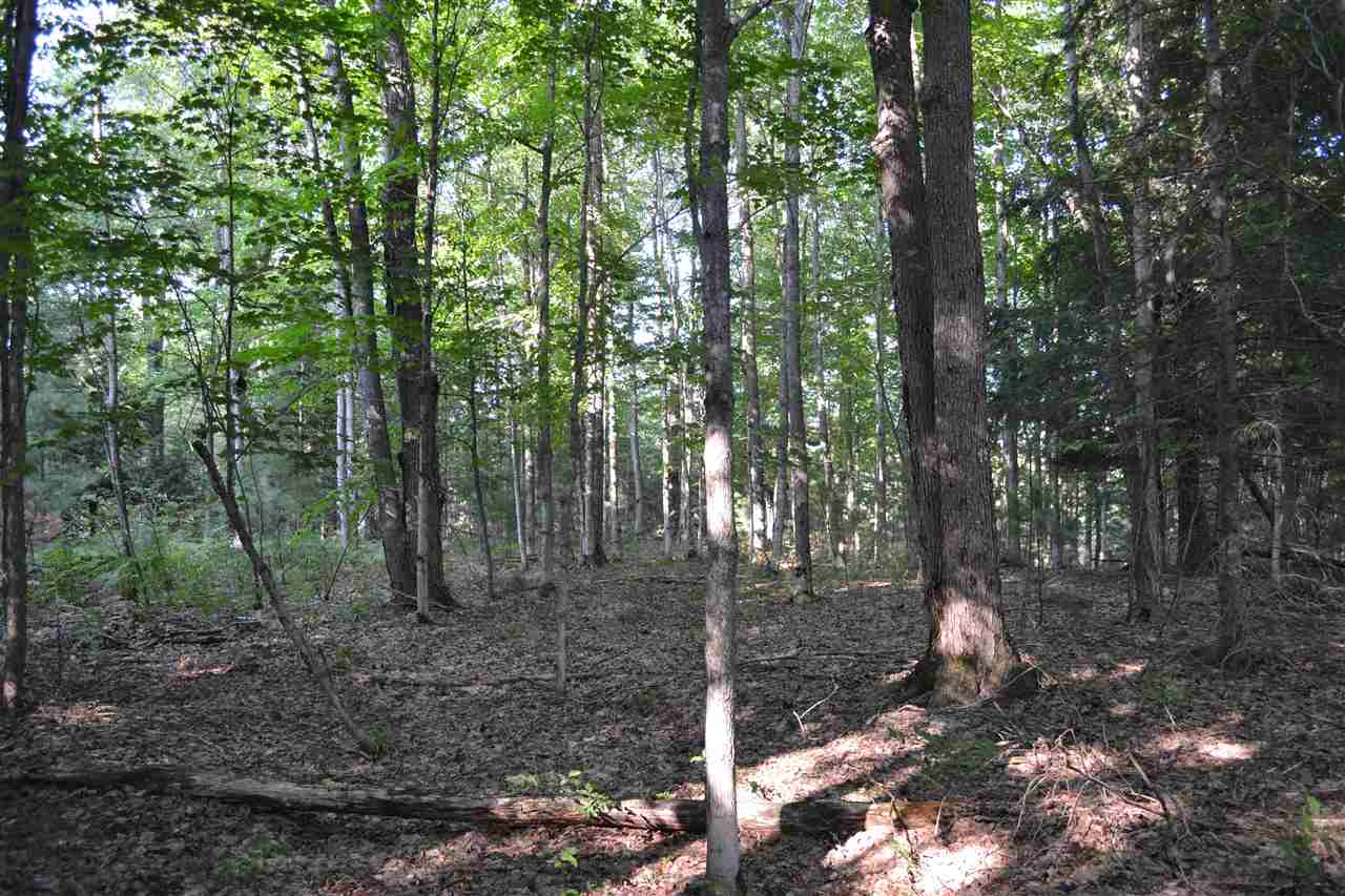 0000 Bergmann Road