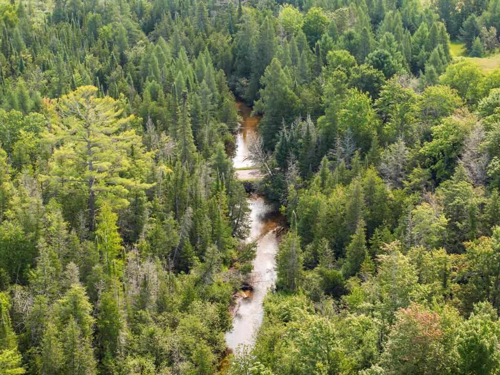 0000 Bergmann Road