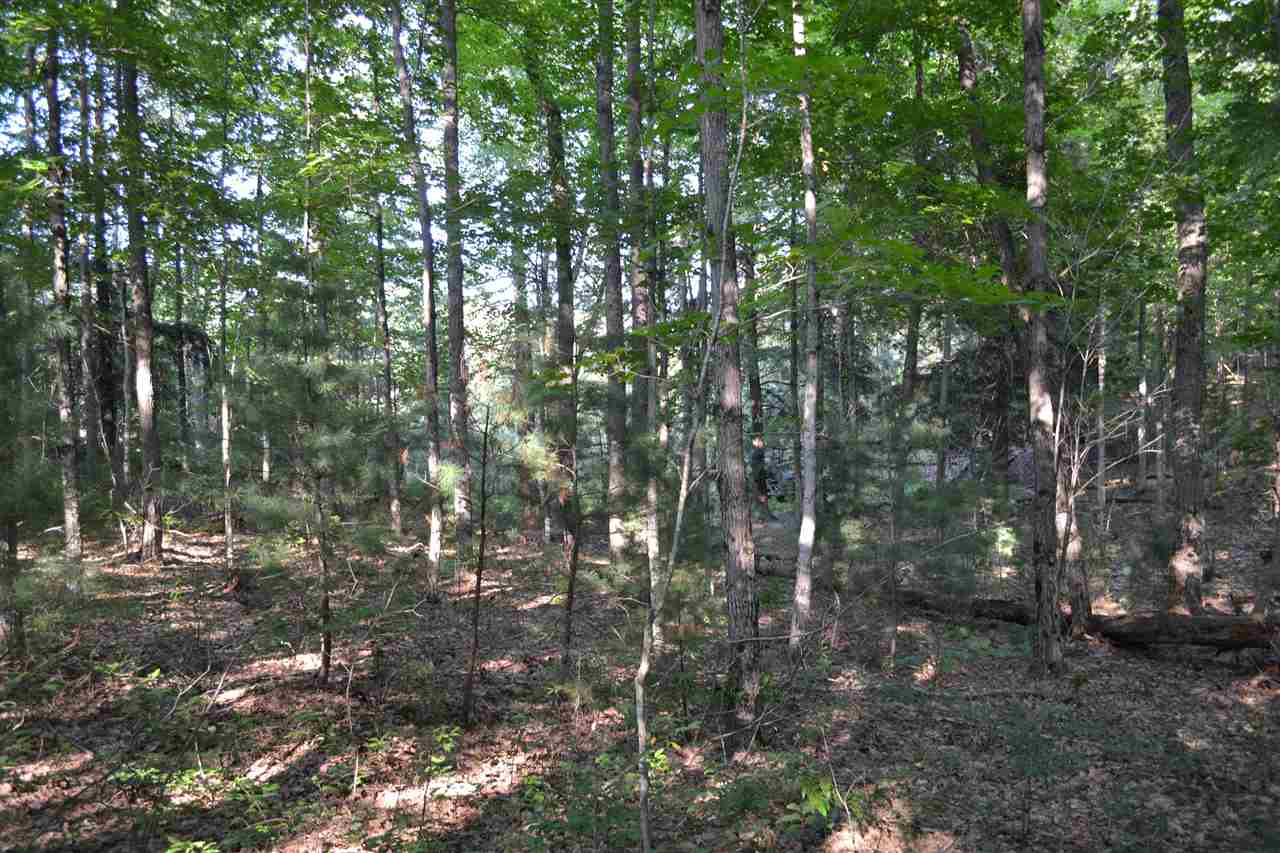 0000 Bergmann Road