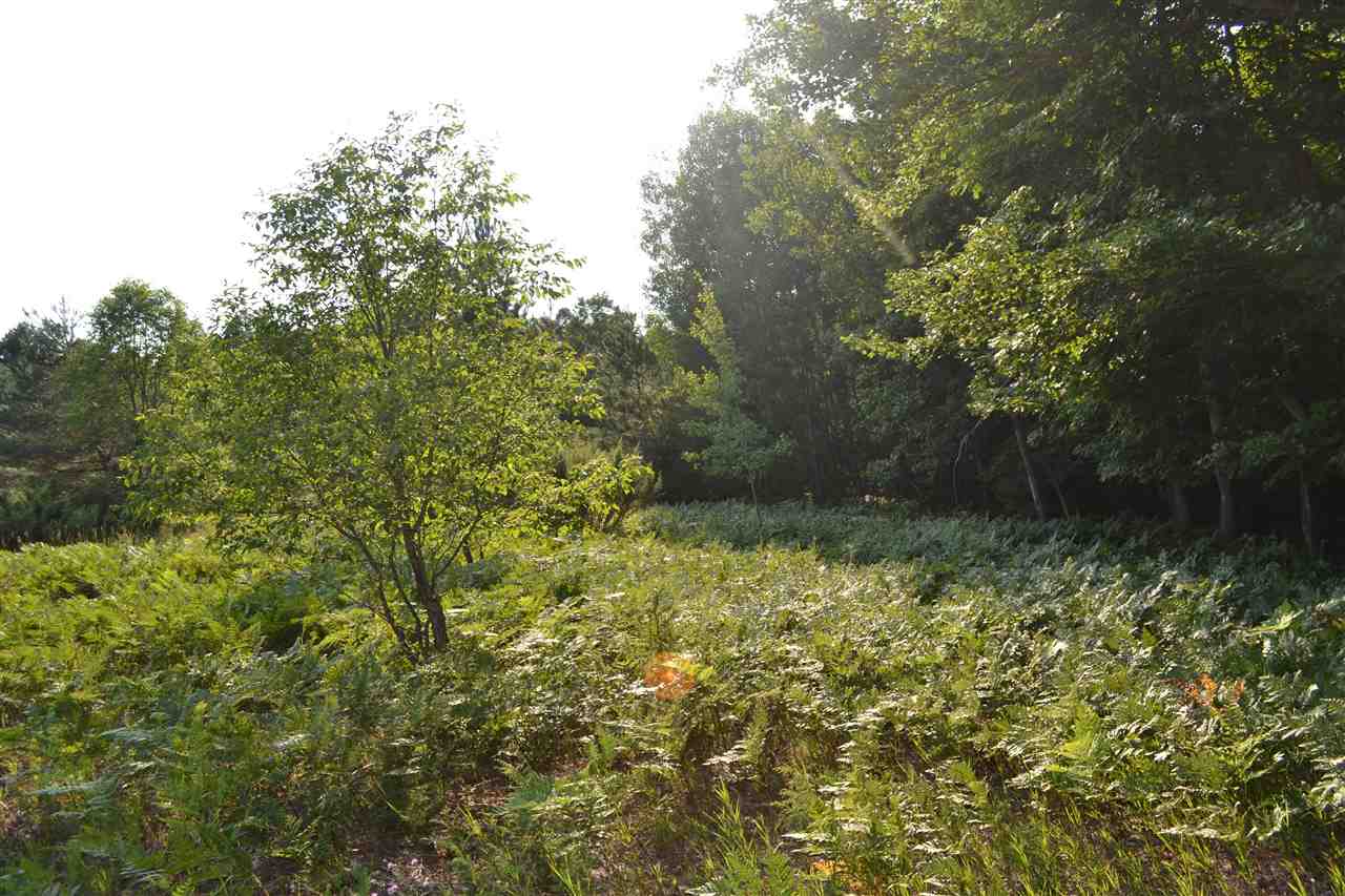 0000 Bergmann Road