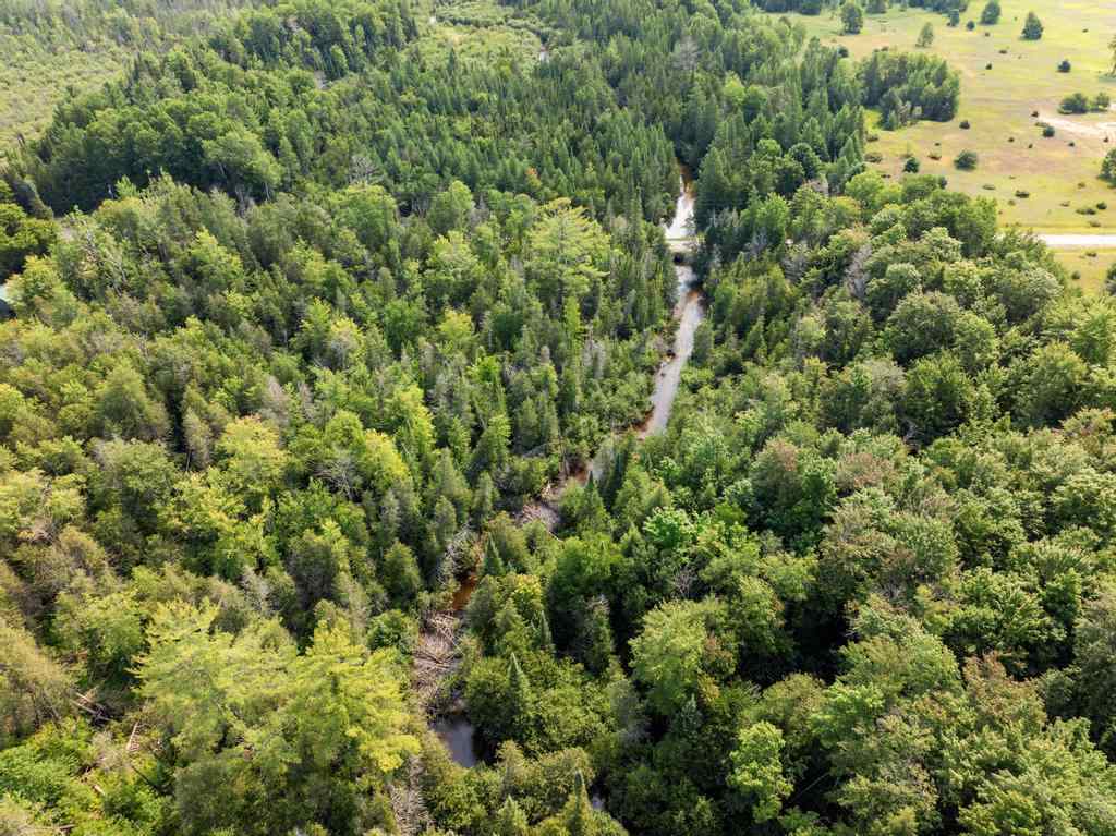 0000 Bergmann Road