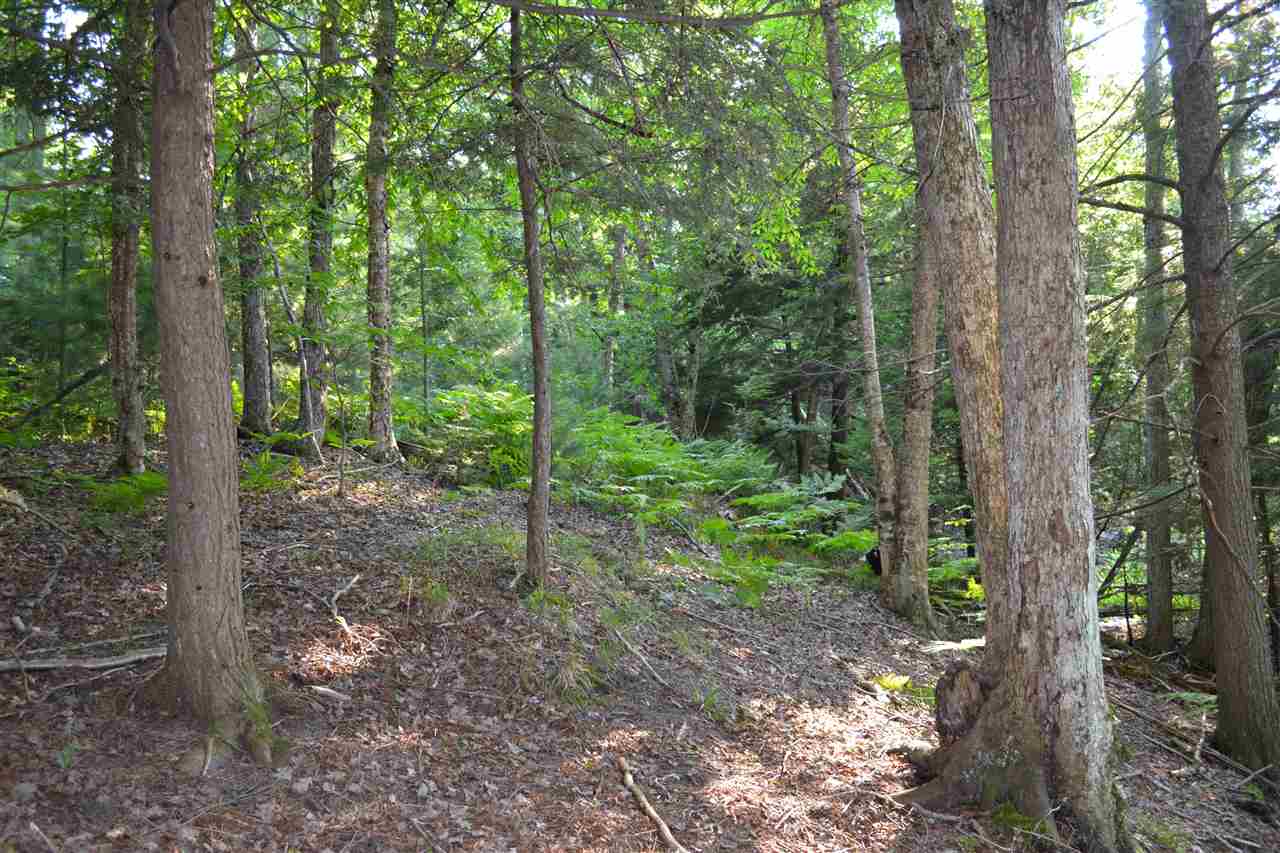 0000 Bergmann Road