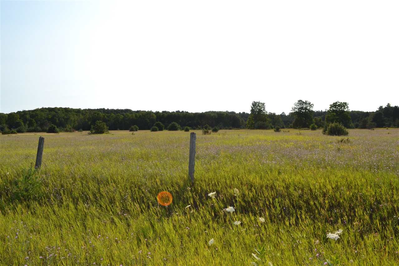 3281 Rogers and Bergmann Road