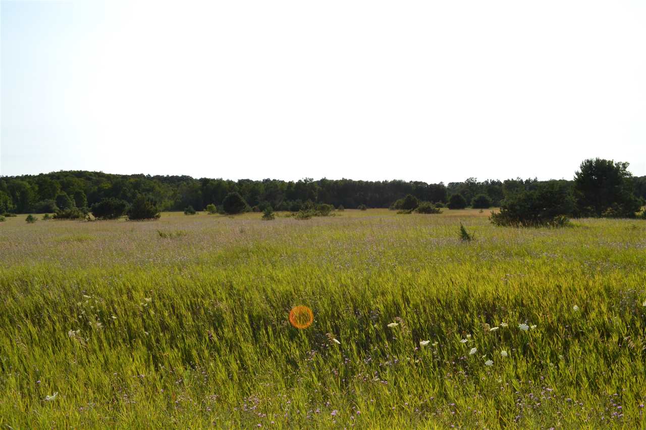 3281 Rogers and Bergmann Road