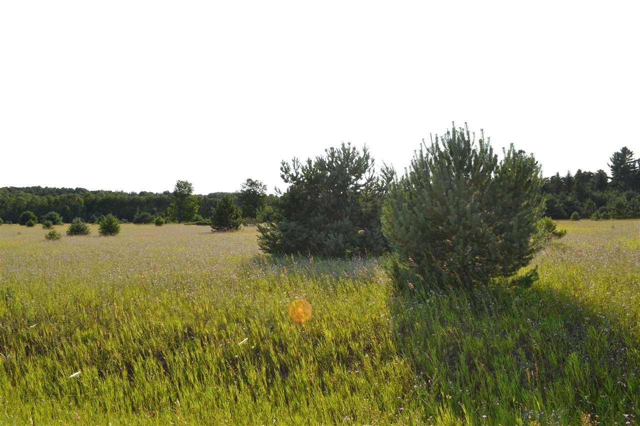 3281 Rogers and Bergmann Road