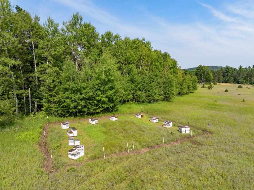 3281 Rogers and Bergmann Road