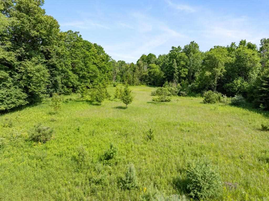 3281 Rogers and Bergmann Road
