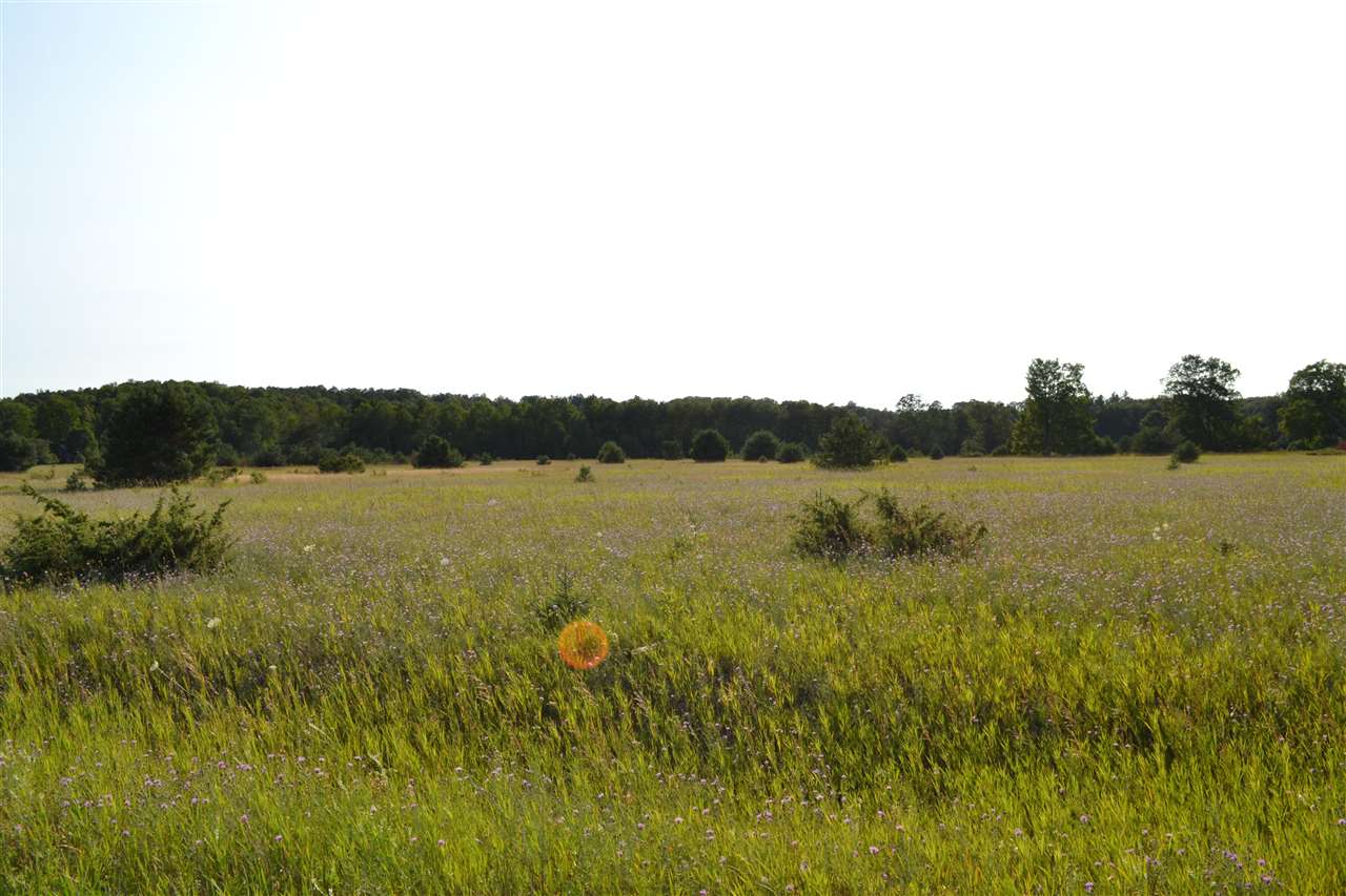 3281 Rogers and Bergmann Road