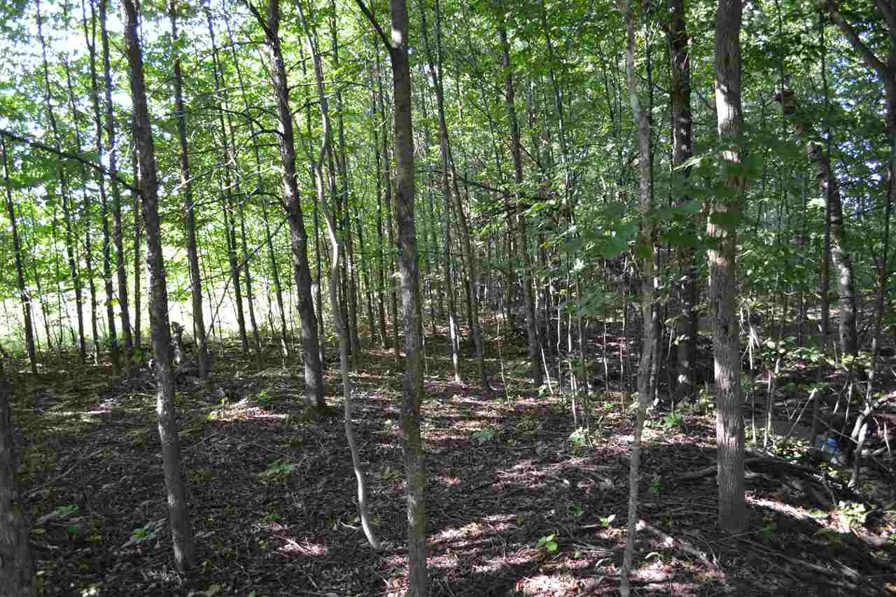 3281 Rogers and Bergmann Road
