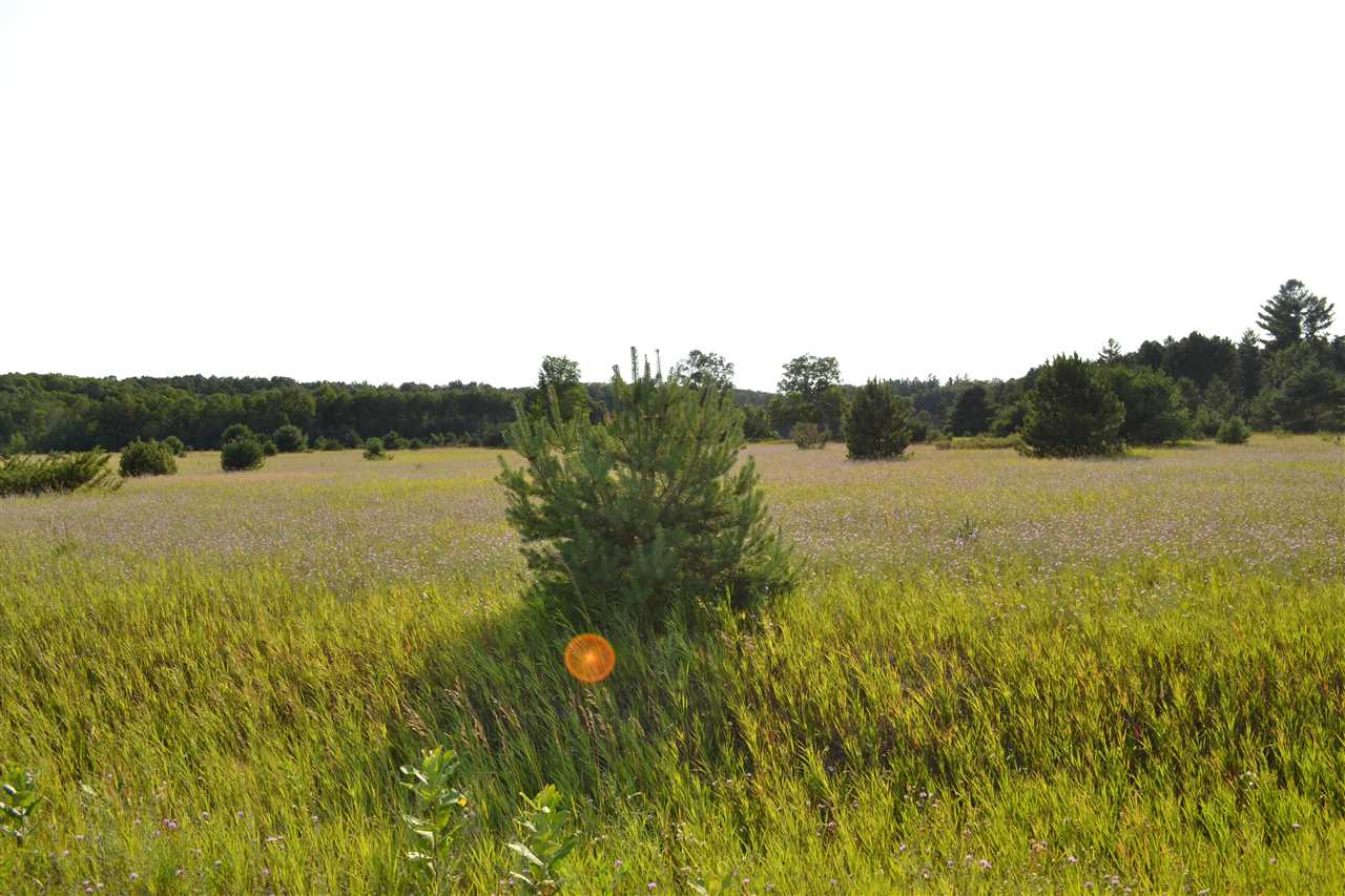 3281 Rogers and Bergmann Road