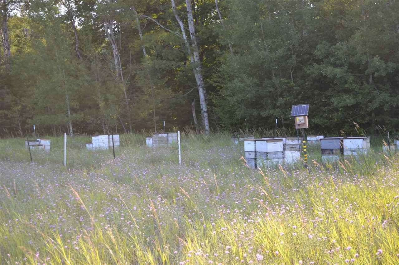 3281 Rogers and Bergmann Road