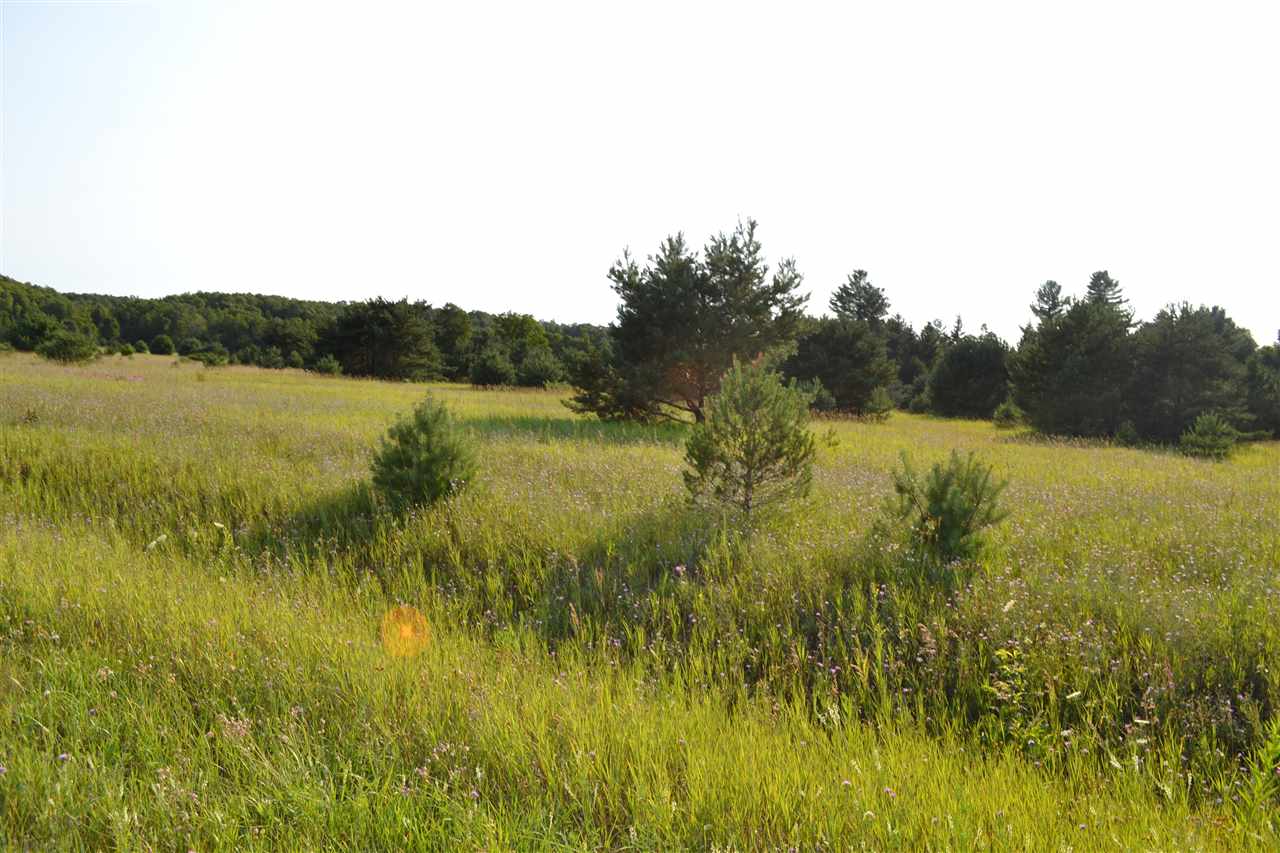 3281 Rogers and Bergmann Road