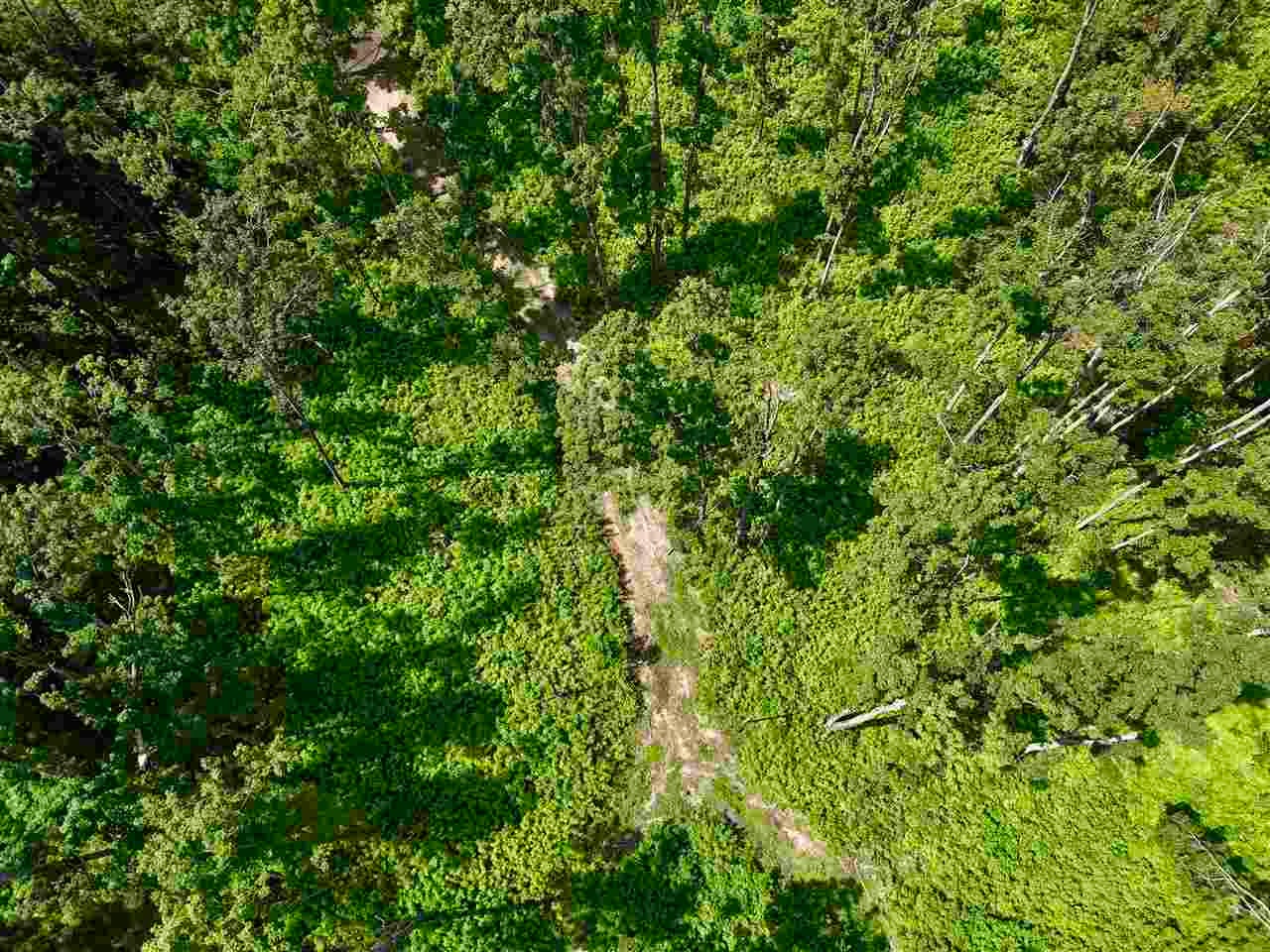 2230 Magee Road