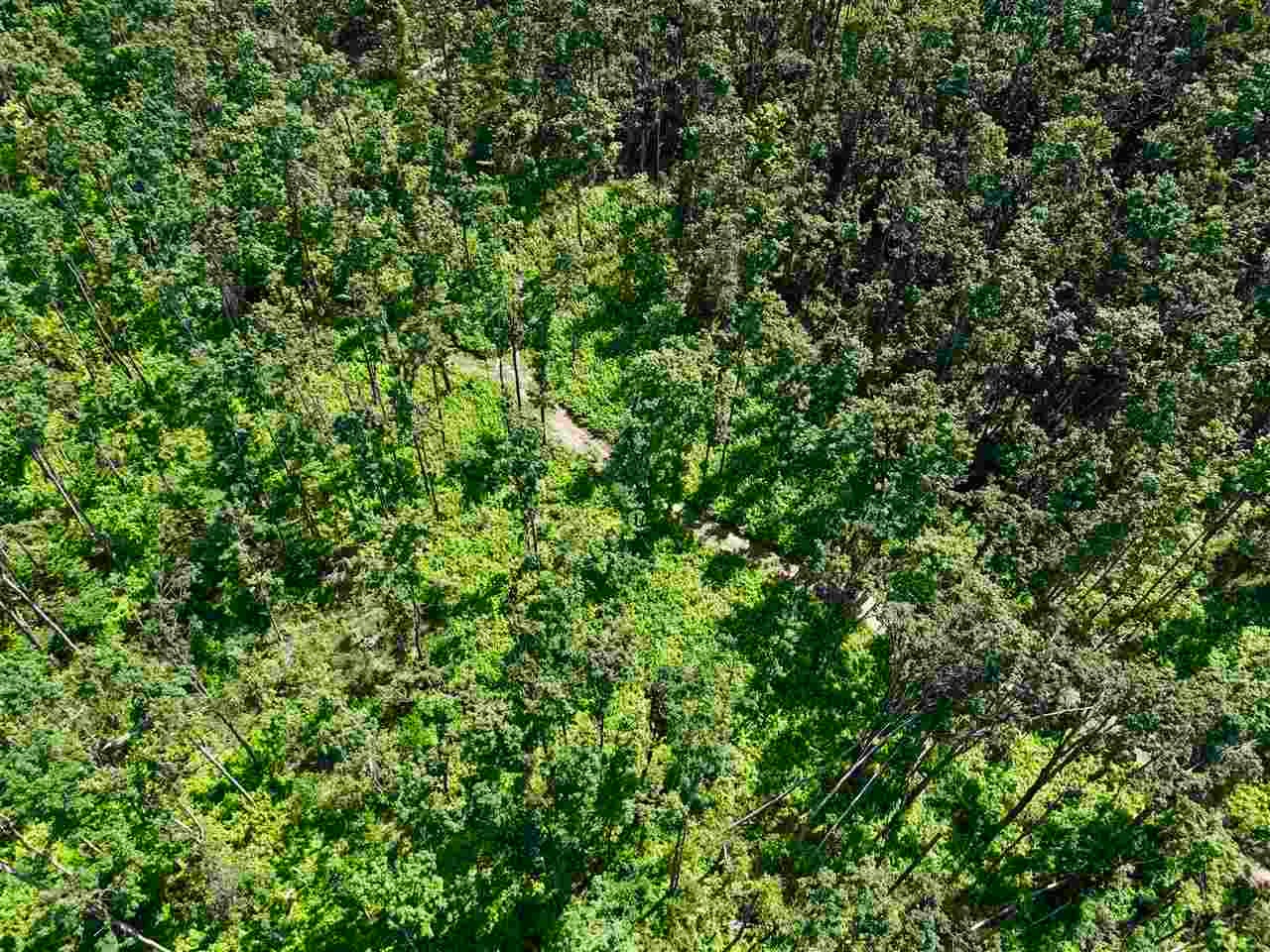 2230 Magee Road