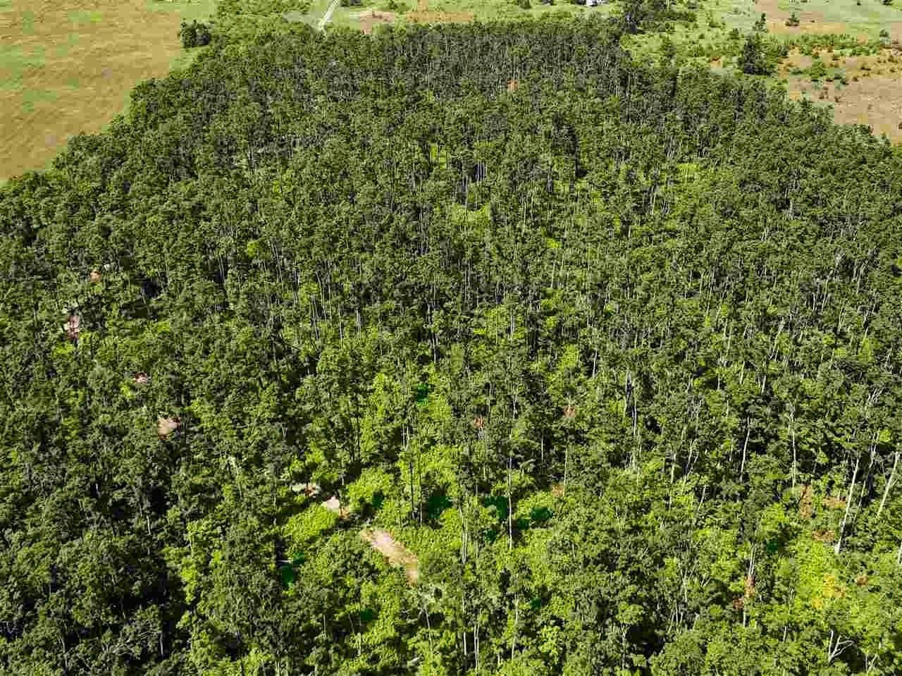 2230 Magee Road