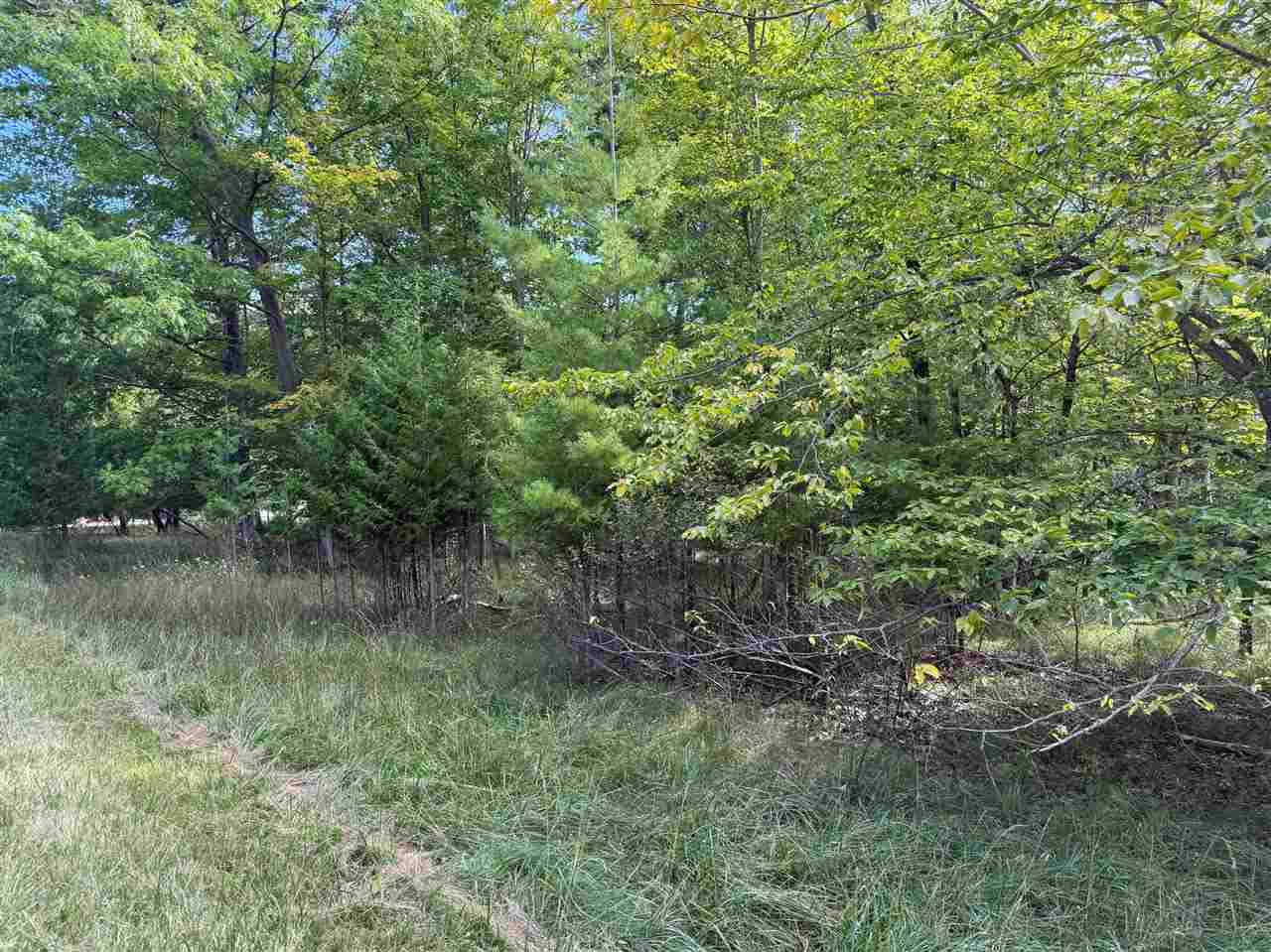 Mount McSauba