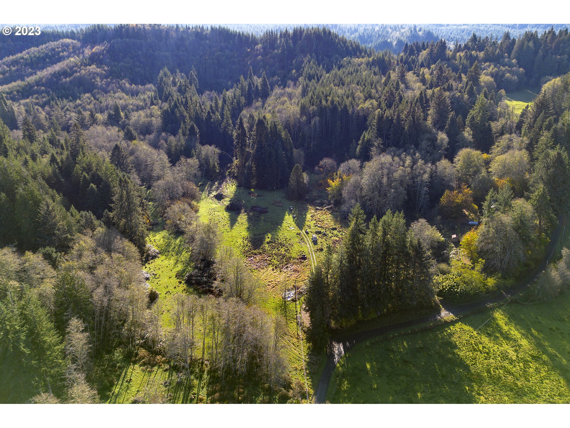 Aerial view of a wooded property with a grassy clearing and curving driveway.